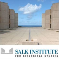 Salk Institute logo
