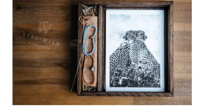 Preserving Wildlife: “Stay Wild” By Photographer Chris Schmid (2020)