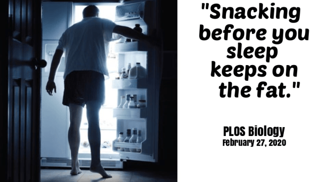 Obesity Study: “Late Night Snacking” Older Adults – Higher Fat Levels Than Early Eaters On Same Diet