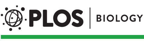 PLOS Biology Studies