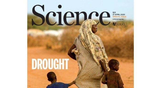 TOP JOURNALS: RESEARCH HIGHLIGHTS FROM SCIENCE MAGAZINE (APRIL 17, 2020)