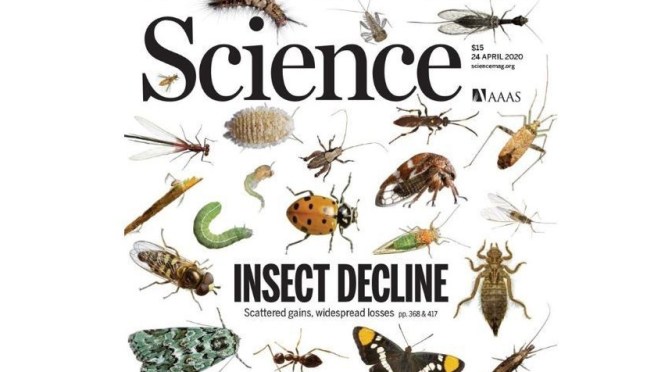 TOP JOURNALS: RESEARCH HIGHLIGHTS FROM SCIENCE MAGAZINE (APRIL 24, 2020)