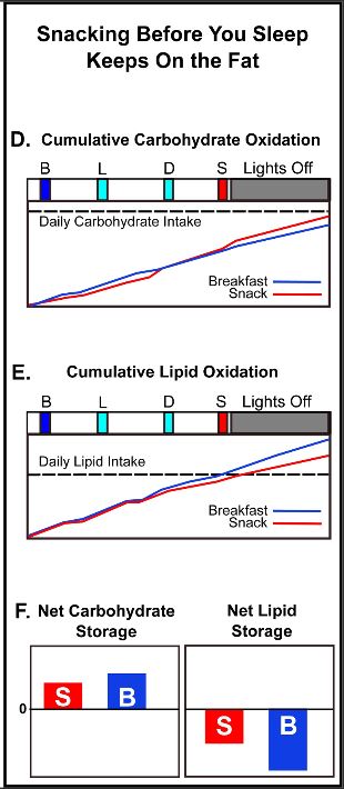Snacking Before you sleep Keeps on the Fat PLOS Biology April 2020