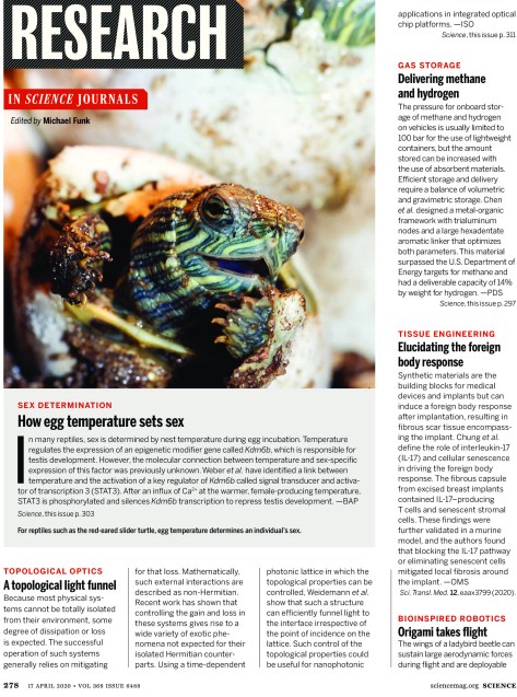 Science Magazine April 17 2020 Research Highlights Infographic