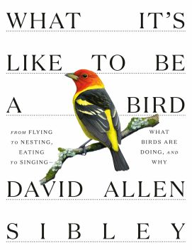 What It's Like To Be A Bird David Allen Sibley Cover April 15 2020