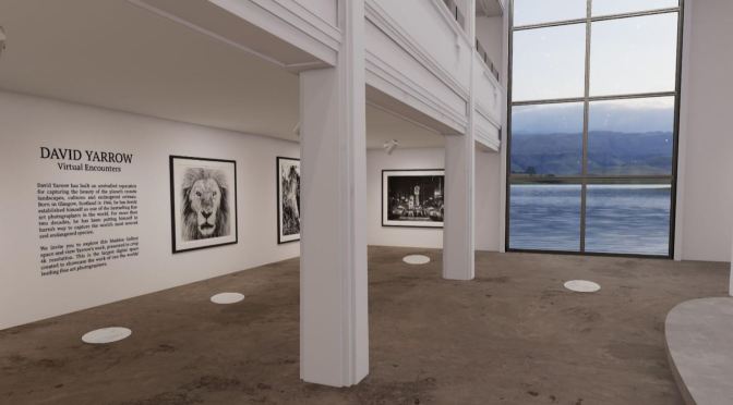 Photography Exhibitions: “Virtual Encounters – The World Of David Yarrow”