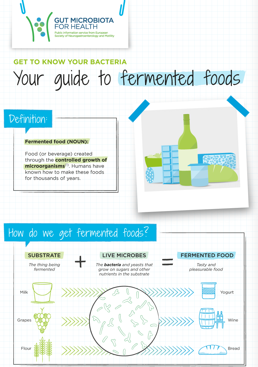 Guide To Fermented Foods Infographic