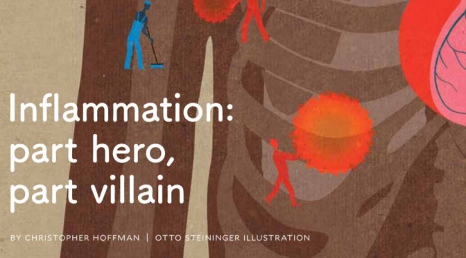 Health: “Inflammation – Part Hero, Part Villain” (Yale Medicine Magazine)
