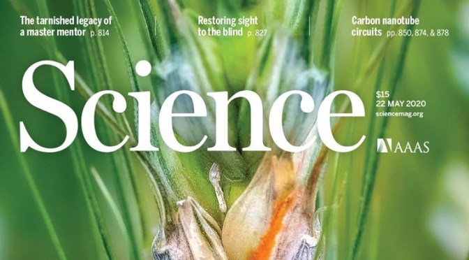 TOP JOURNALS: RESEARCH HIGHLIGHTS FROM SCIENCE MAGAZINE (MAY 22, 2020)