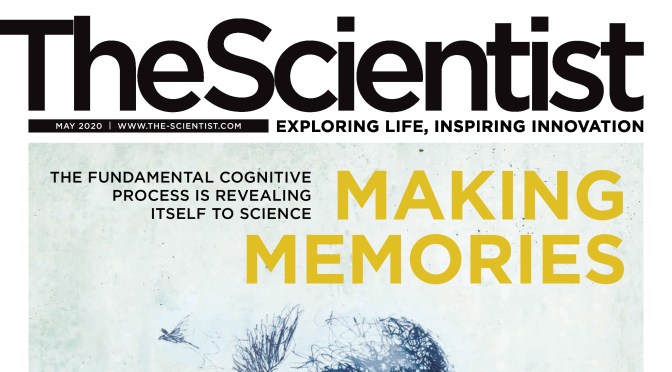 Top Digital Magazines: “The Scientist – May 2020”
