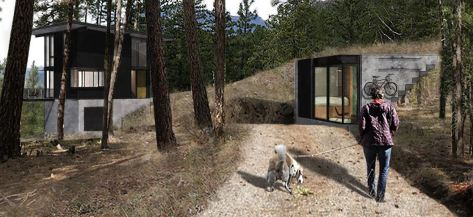 Arrowleaf Cabin - GoCstudio - Seattle 2020