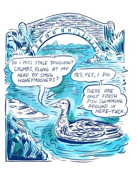 How Birds are Adjusting To Our New Reality - New Yorker - June 5 2020 - Illustration by Ali Fitzgerald