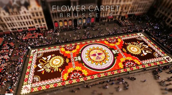 Timelapse Travel Video: “Flower Carpet – Brussels” By Joerg Daiber (2020)