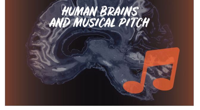 New Research Podcasts: “Human Brains Are Wired To Enjoy Musical Pitch”
