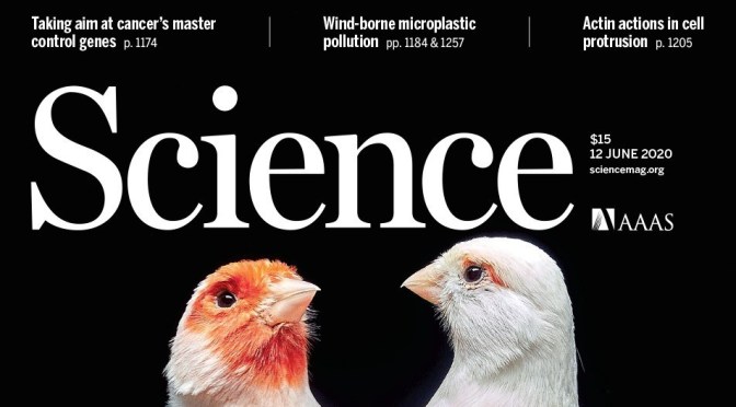 TOP JOURNALS: RESEARCH HIGHLIGHTS FROM SCIENCE MAGAZINE (JUNE 12, 2020)