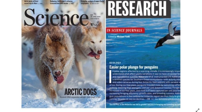 TOP JOURNALS: RESEARCH HIGHLIGHTS FROM SCIENCE MAGAZINE (JUNE 26, 2020)