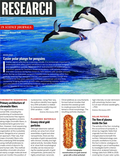 SCIENCE MAGAZINE RESEARCH HIGHLIGHTS JUNE 26 2020