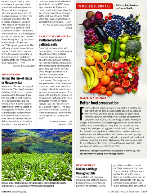 SCIENCE MAGAZINE RESEARCH HIGHLIGHTS - JUNE 5 2020