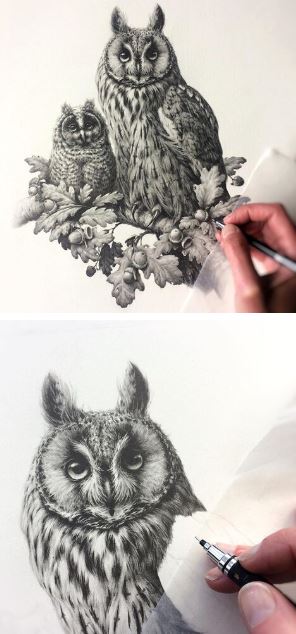 Vanessa Foley - Bird Artist