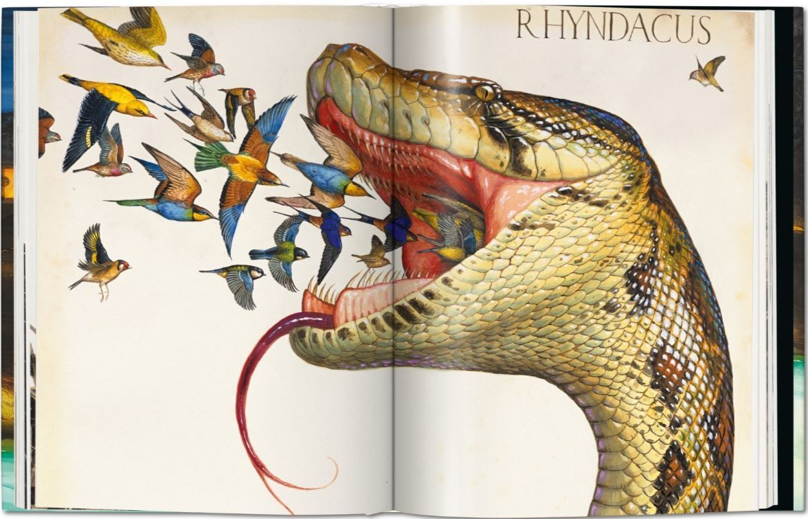 Walton Ford - Pancha Tantra - Taschen