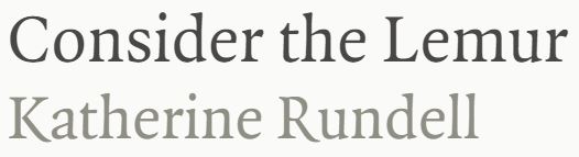 Consider The Lemur - Katherine Rundell