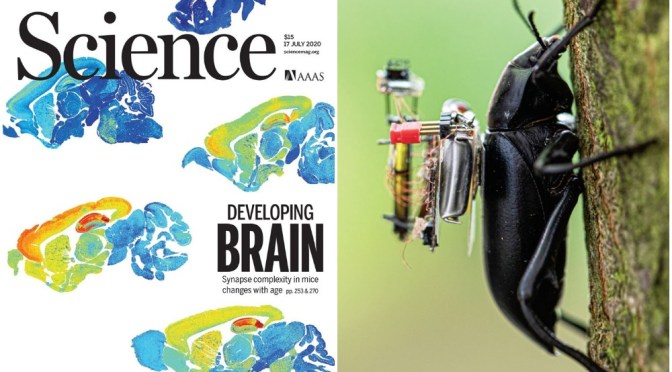TOP JOURNALS: RESEARCH HIGHLIGHTS FROM SCIENCE MAGAZINE (JULY 17, 2020)