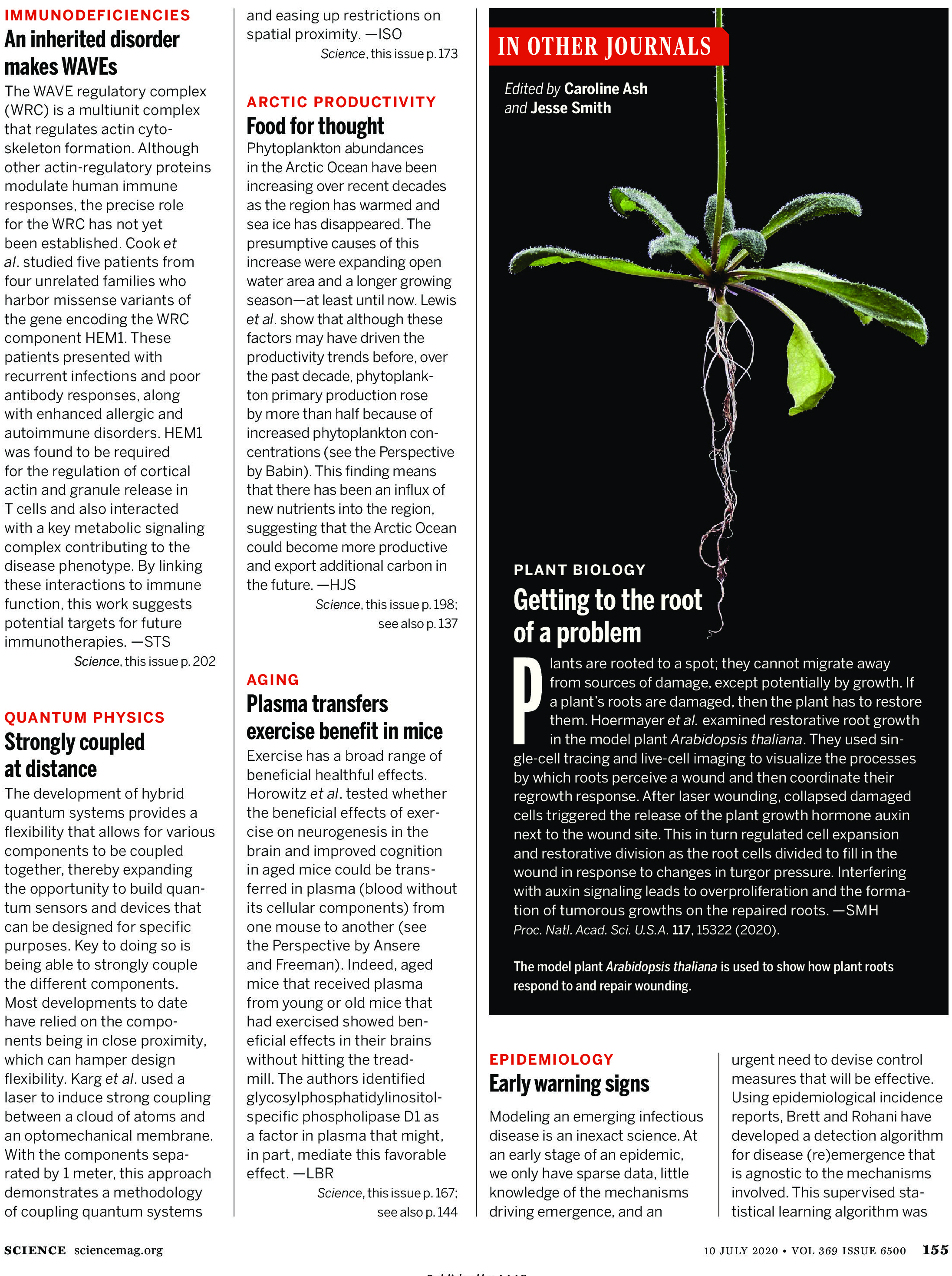 Science Magazine Research Highlights July 10 2020