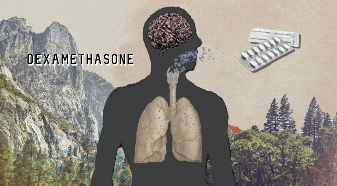 Health: How 60-Year Old “Dexamethasone” Became World’s Best Hope For Covid-19 Patients (Video)