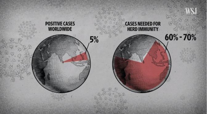 Coronavirus: “What It Will Take To Reach Herd Immunity” (WSJ Video)