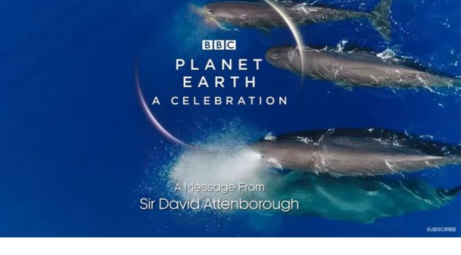 Nature & Wildlife Video: “A Message From Sir David Attenborough” (BBC)