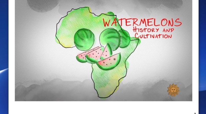 Videos: “Watermelons – History & Cultivation” Of Summer’s Favorite Fruit