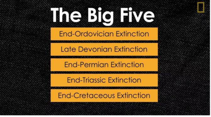 History: “Mass Extinctions Paved Way For Human Evolution” (NatGeo Video)