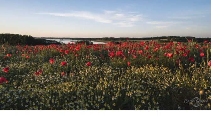 Top New Travel Videos: ‘Seasons Of Denmark – Summer’ – Casper Rolsted