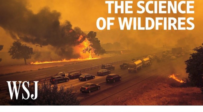 New Environment Videos: “The Science Of Wildfires”