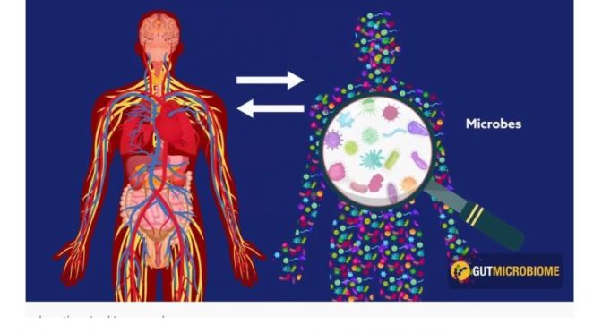 Health Videos: “You Have The Gut Microbiome You Deserve” (Cambridge)