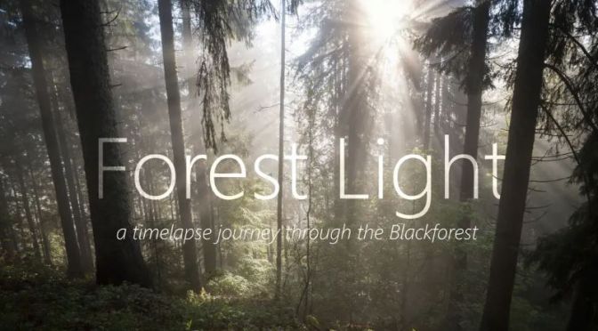 Timelapse Travel Video: ‘Forest Light – The Black Forest, Bavaria, Germany’