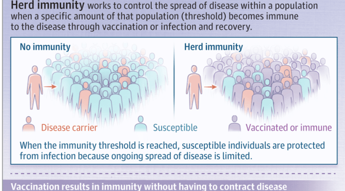 Infographic: ‘What Is Herd Immunity?’ – Achieving It With Covid-19 (JAMA)