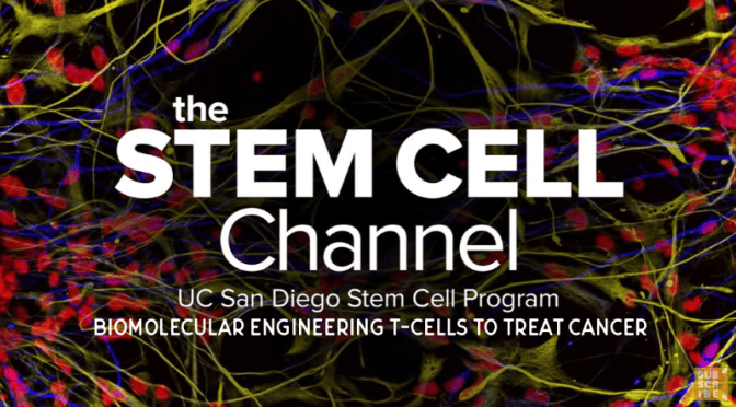 Research: ‘Biomolecular Engineering T-Cells to Treat Cancer’ (UCTV Video)