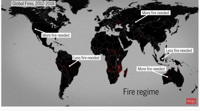 Ecology: Wildfires Kindle Natural Biodiversity