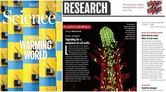TOP JOURNALS: RESEARCH HIGHLIGHTS FROM SCIENCE MAGAZINE (NOV 13, 2020)