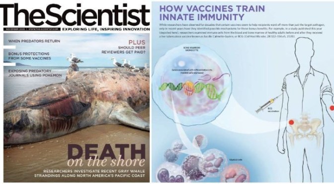 Digital Issue: The Scientist Magazine – November 2020
