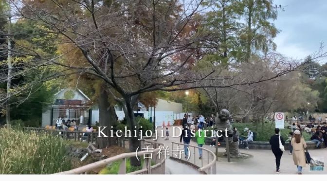 Walking Tour Video: Inokashira Park, Kichijoji District In Tokyo, Japan