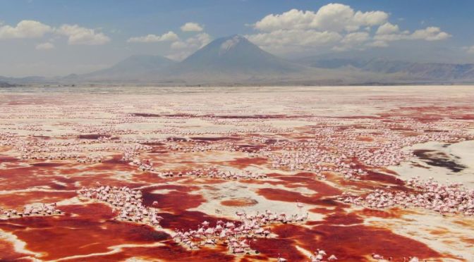 Video: ‘A Perfect Planet’ (BBC Earth Trailer)