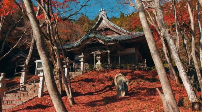 Travel: Autumn In Nantan, Kyoto, Japan (Video)