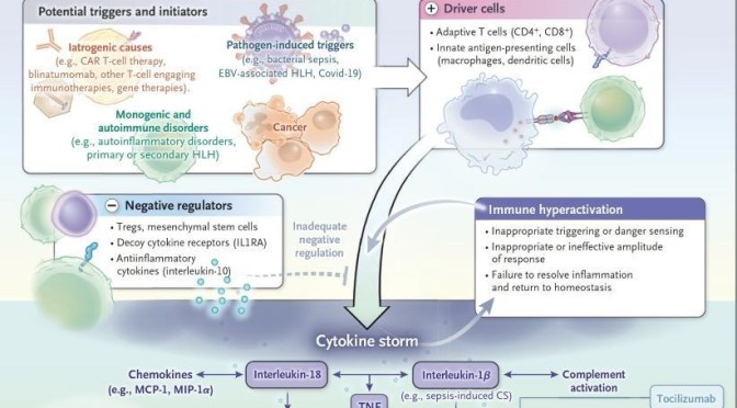 Medical Reviews: Covid-19 &  ‘Cytokine Storm’ (NEJM)