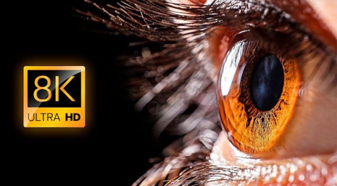 Views: Everday Things Seen In ‘8K Ultra HD’ (Video)