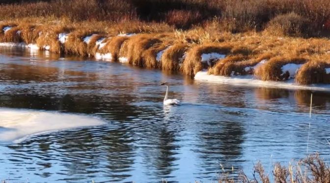 Travel: ‘Yellowstone Hike’ – Early Winter 2020 (Video)