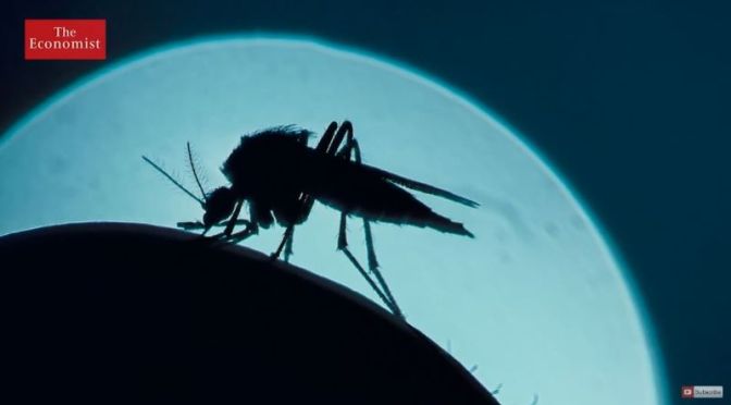 Disease: ‘Malaria – The Deadliest Pandemic In World History’ (Video)