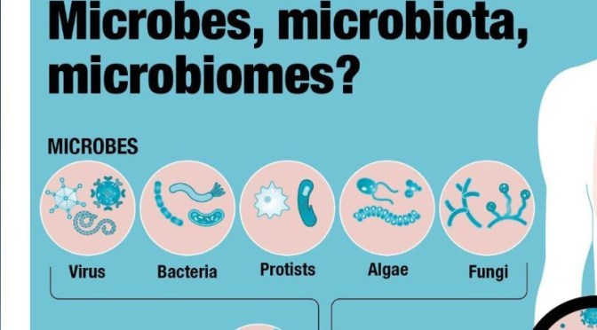 Infographic: Microbes, Microbiota & Microbiomes