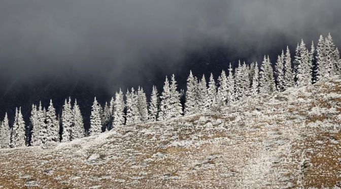 Photography: ‘Reuters Pictures Of The Year 2020 – World Landscapes’ (Video)